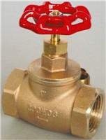brass gate valve 2