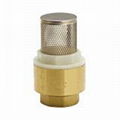 Female BSPP Brass Type Y Strainer With Plug Valve Connector Fitting 2