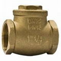 Female BSPP Brass Type Y Strainer With Plug Valve Connector Fitting 3