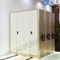 Luoyang Office Furniture Factory Manufacturing Dense Ark Mass Cabinet