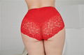 plus size comfortable hipster sexy flower lace briefs high rise lace big butts f 2