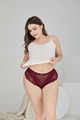 Custom Design high rise plus size women briefs fat women lace panty briefs panti