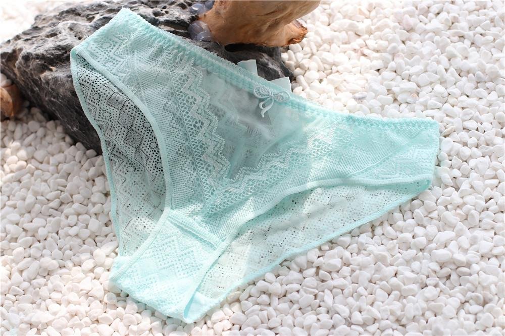  Custom Design briefs transparent woman wearing women's lace women lingerie pant 3