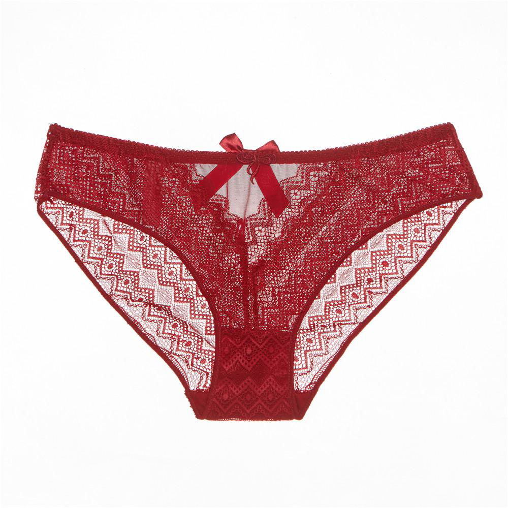  Custom Design briefs transparent woman wearing women's lace women lingerie pant 4