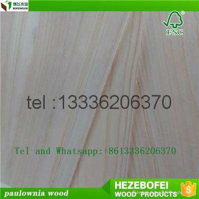  PAULOWNIA WOOD 