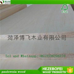 Paulownia Taekwondo Wood /Paulownia Wood