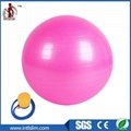Yoga Ball Manufacturer and Supplier 1