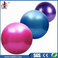 Yoga Ball Manufacturer and Supplier 2