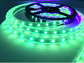 Jercio Individually addressable LED strip SMD5050 RGB SK6812-W  led  2