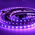 Jercio Individually addressable 60leds/m SK6812-W  Flexible LED strip  4