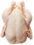 Halal Frozen Whole Chicken Broiler