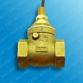 baffle water flow sensor with brass