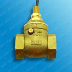 baffle water flow sensor with brass material