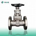 Forged Gate Valve API certificate 2