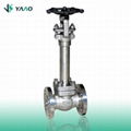 Forged Gate Valve API certificate 3