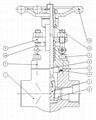 Forged Gate Valve API certificate 5