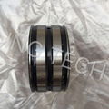 XDZC SL04 5010PP  Full roller bearing