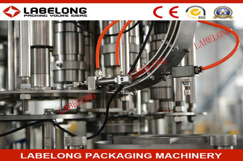 Automaic Mineral Water Filling Machine 2