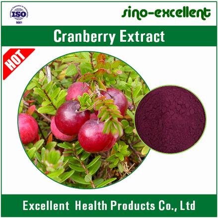 Cranberry Extract(Vaccinium Macrocarpon L.) 5