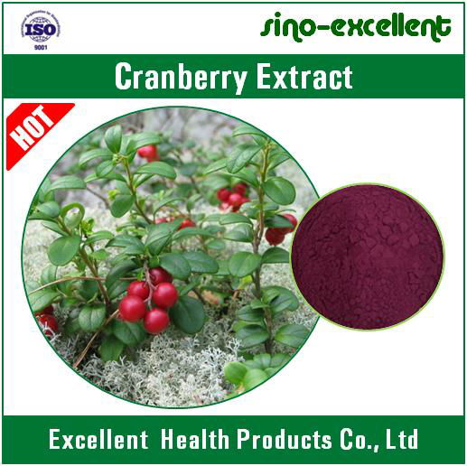 Cranberry Extract(Vaccinium Macrocarpon L.) 3