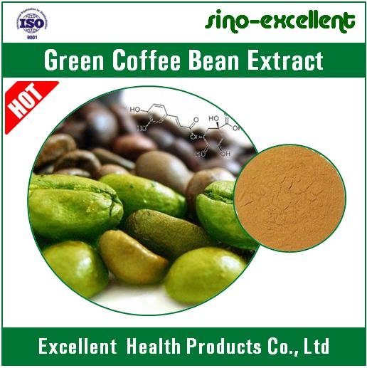 chlorogenic acids Green coffee bean extract 2