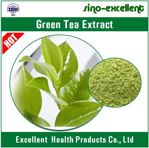 Natural Green Tea Txtract Powder 5