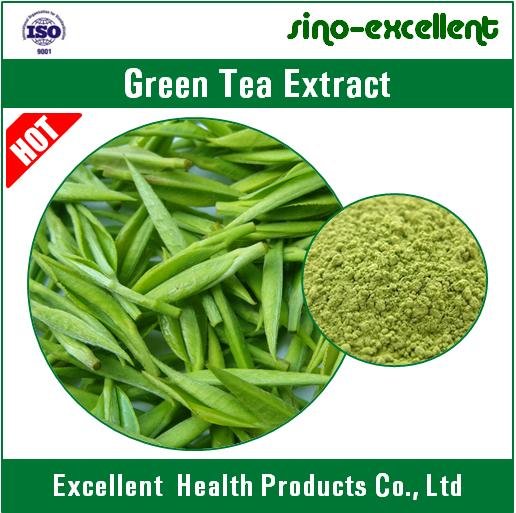 Natural Green Tea Txtract Powder 4