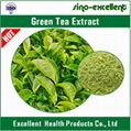 Natural Green Tea Txtract Powder 3