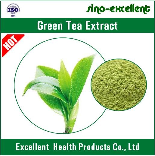 Natural Green Tea Txtract Powder 2
