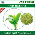 Natural Green Tea Txtract Powder 2