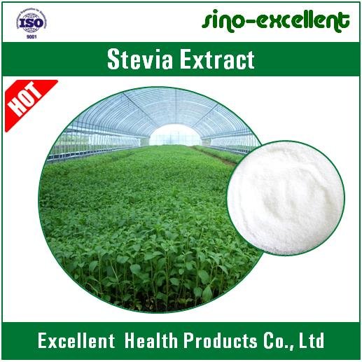 Natural sweeteners Stevia Extract 2