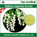 Sophora Japonica extract Rutin 5