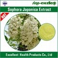 Sophora Japonica extract Rutin 4