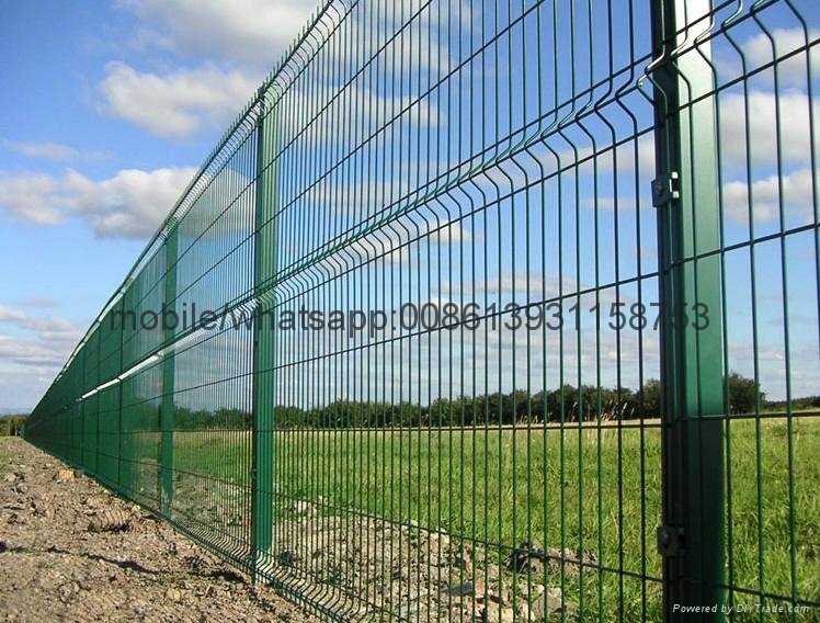 2017galvanized pvc coated welded wire mesh fence 4