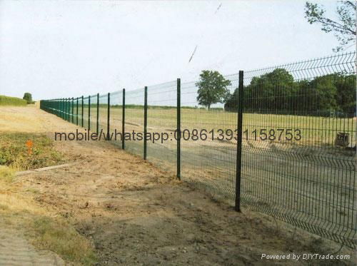 2017popular green powder coated metal farm fence 3