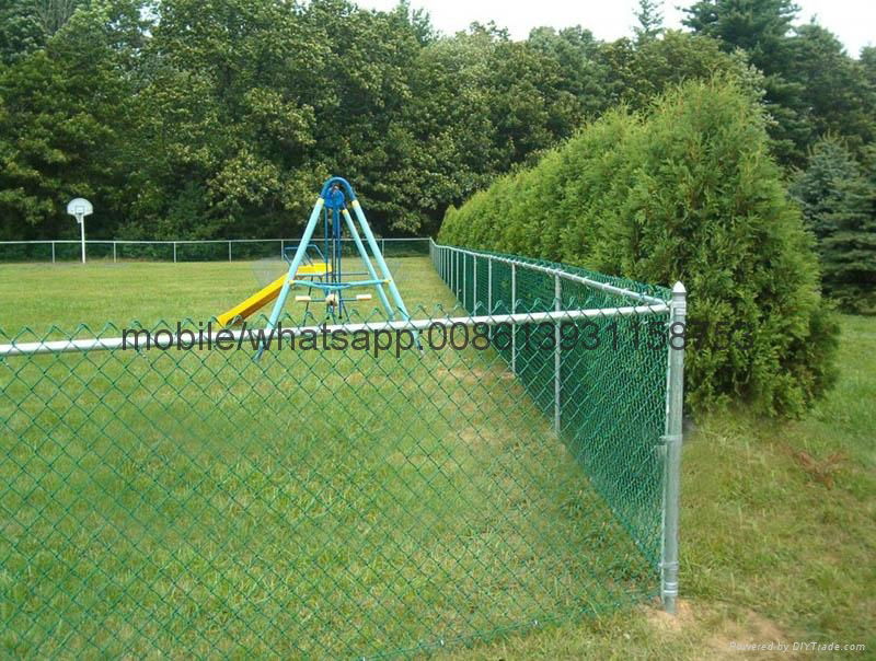 green galvanized pvc coated chain link sport fence 3