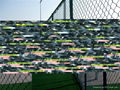 green pvc coated chain link security fence 1