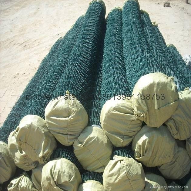 green pvc coated chain link security fence 2