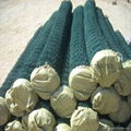 green pvc coated chain link security fence 2