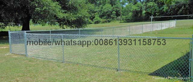 green pvc coated chain link security fence 5