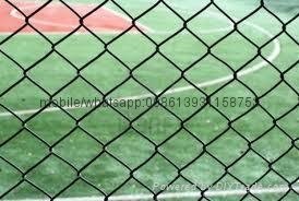 60*60mm chain link woven wire mesh 4