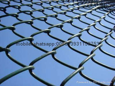 50*50mm chain link wire mesh construction fence
