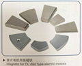 Magnets for DC type electric motors 1