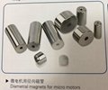 Diametral magnets for micro motors