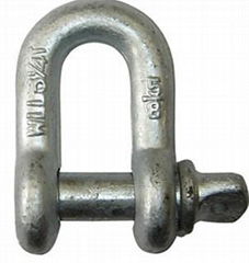 Rigging Hardware U.S.Screw Pin Chain Shackle，D shackle 