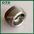 forged fittings 304/316L sockolet sch160