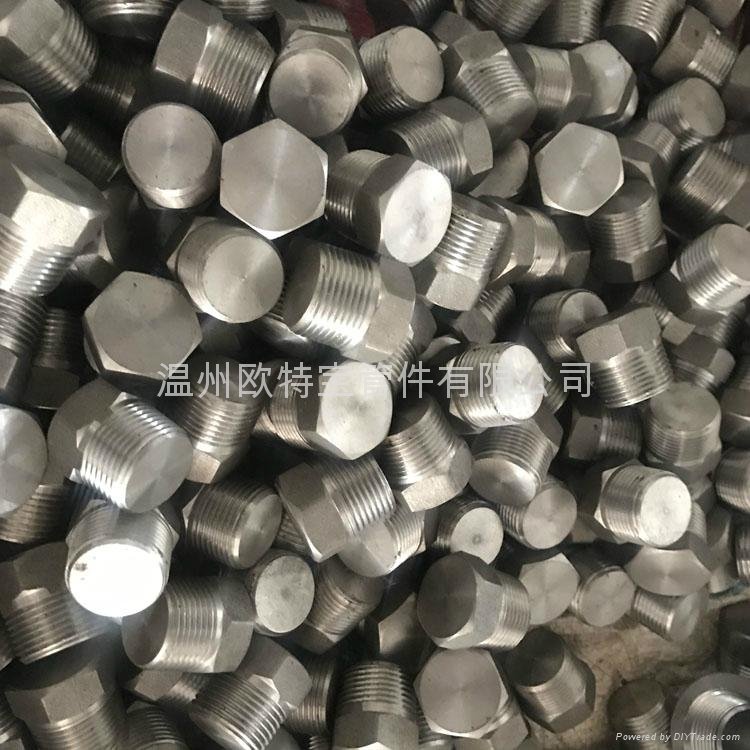 forged high pressure fittings ss304/316L/A105 HEX plug NPT/RC 3