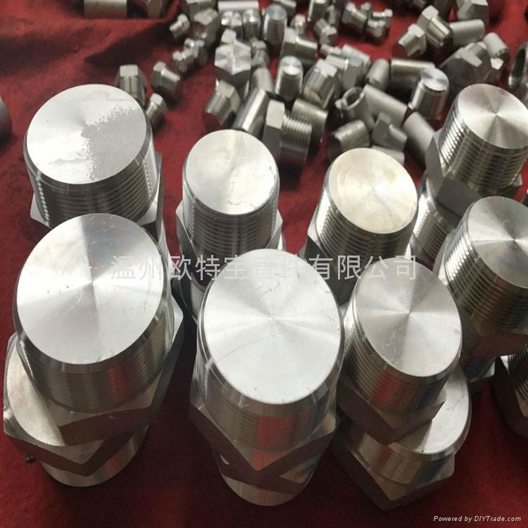 forged high pressure fittings ss304/316L/A105 HEX plug NPT/RC 2