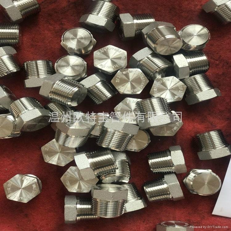 forged high pressure fittings ss304/316L/A105 HEX plug NPT/RC 5