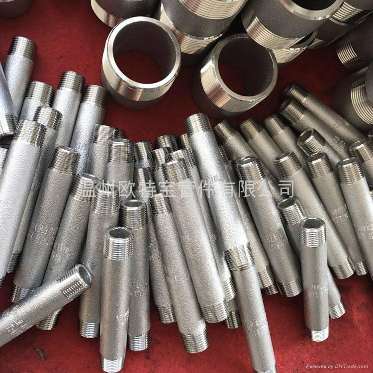 forged fittingsss/cs  two threaded pipe nipple end NPT/RC/BSP 2